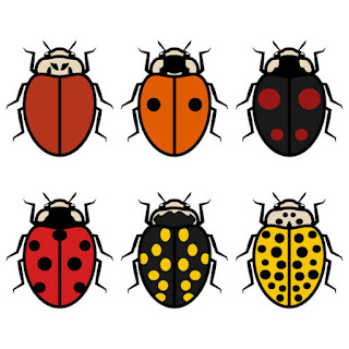 A collection of an illustrations of ladybugs, isolated, in various colors (black, orange, yellow, red, brown, dark red) and different number of spots, outlined.
